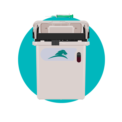 A Day in the Life of a Needle 3 Sharps waste management