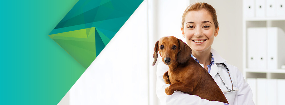 Medical Waste Considerations for Vet Clinics 1 Vet Blog