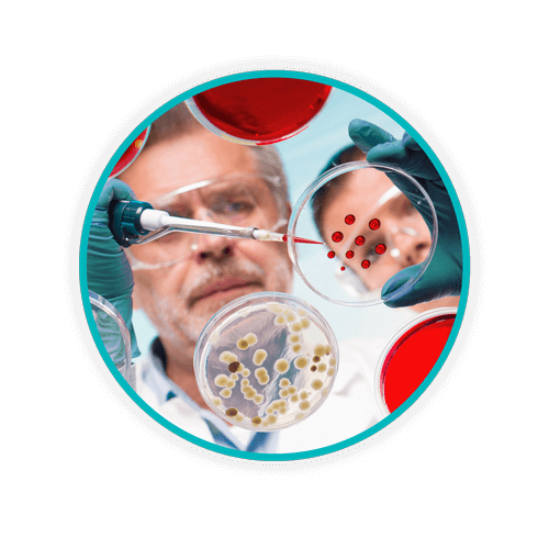 Regulated Medical Waste: 5 Things That Are Surprisingly Not Regulated 3 Blog Body Petri Cultures WEB