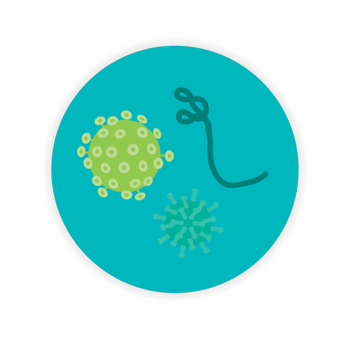 Diseases Caused by Improper Healthcare Waste Disposal 2 Blog Body Virus WEB